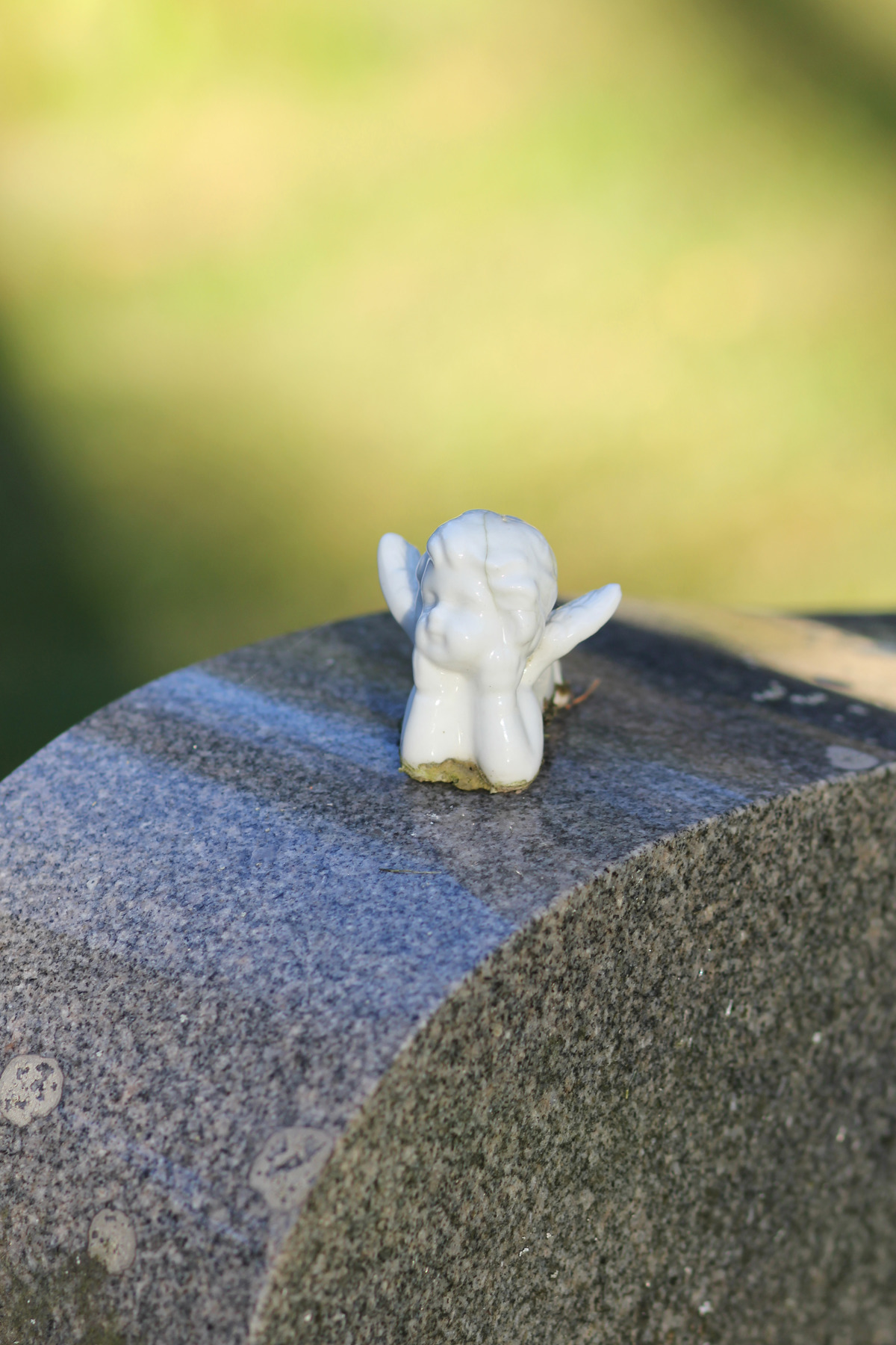 Vara Gravr ttsinnehavare Stockholms Stad