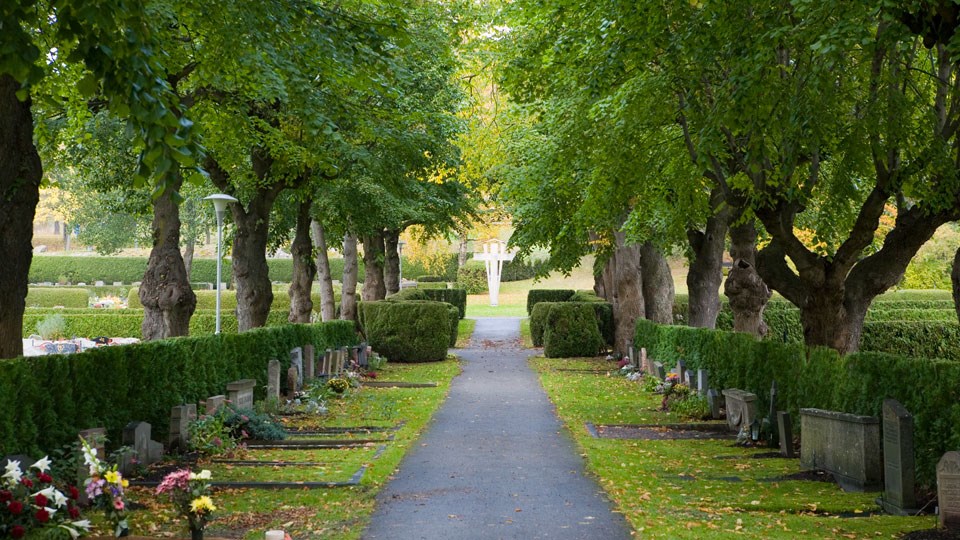 En gångväg kantad av gravar, varav många är smyckade med blommor.